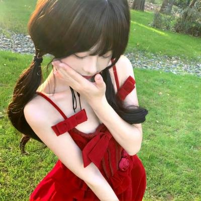 从前有个傻子特工